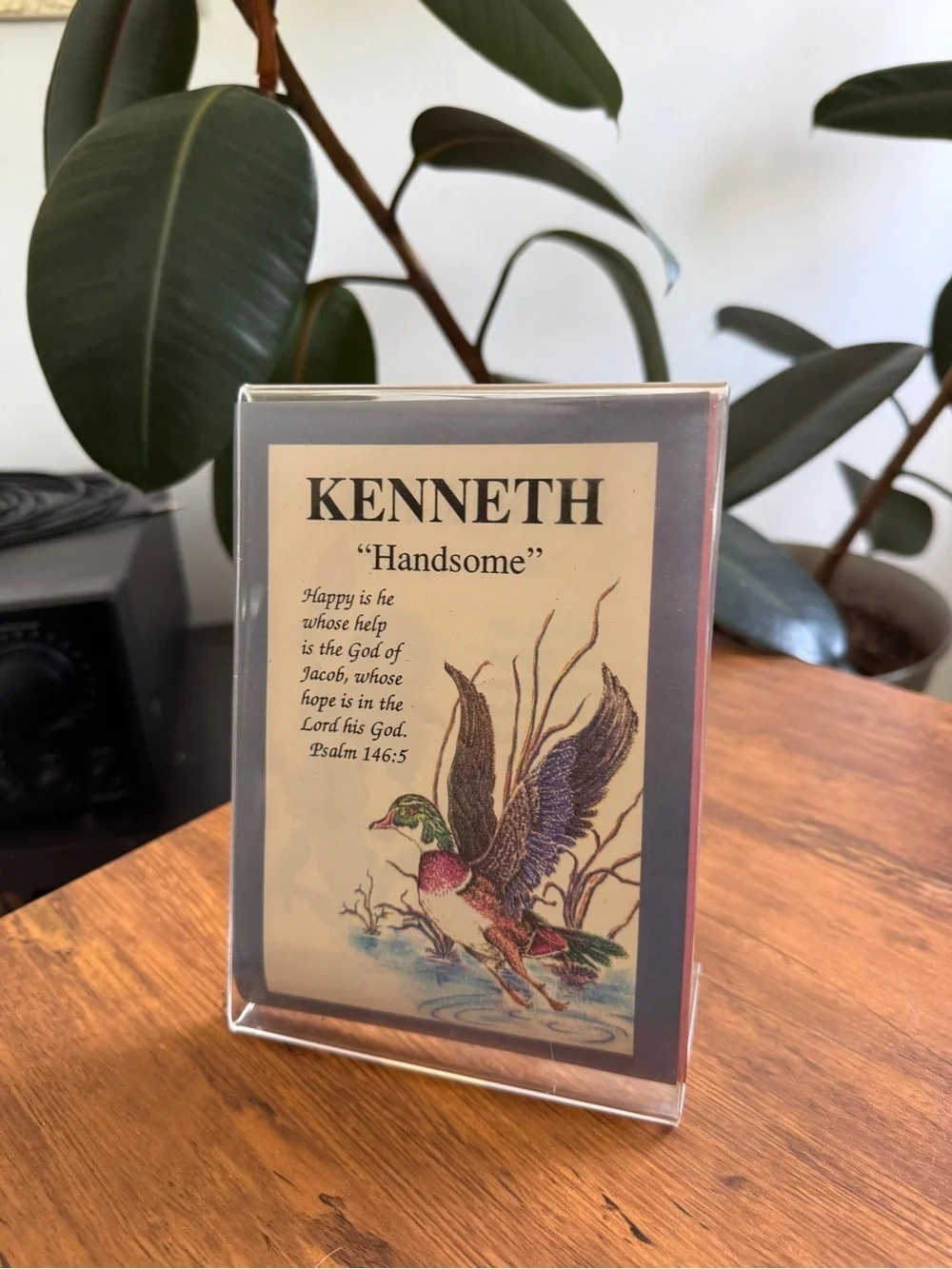 KENNETH ‘Handsome' Framed Duck Print - Multicolor